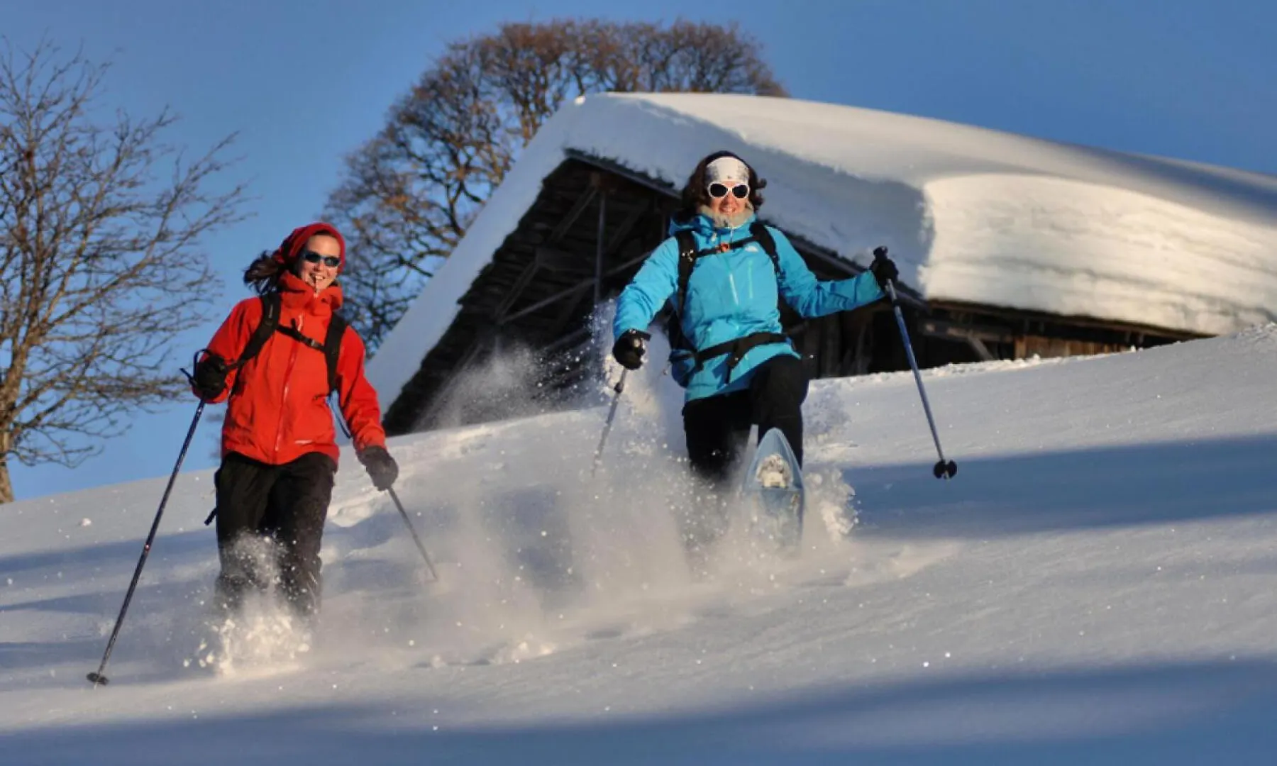 Chalet Le Buset - Grand Chalet Proche Des Pistes Et Du Centre Du Village Mae-3044 Crest-Voland